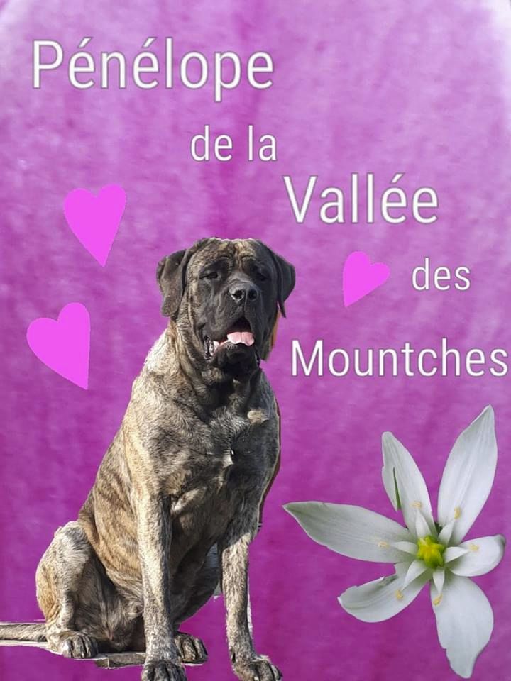 Pénélope La Vallée Des Mountches