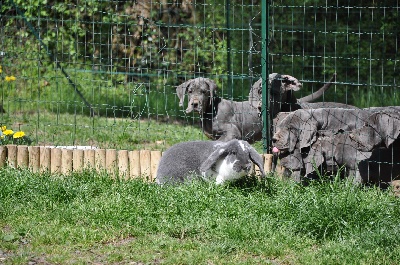 De Bel'eva - Les bb et Marguerite !!